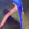 Le perroquet bleu